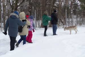 Экскурсия в парк Беремицкое